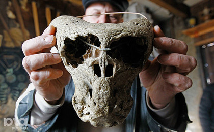 Уникальные черепа , не принадлежащие ни одному из известных животных. (Найдены в схроне Аненербе в горах Адыгеи) Музей Беловодье.